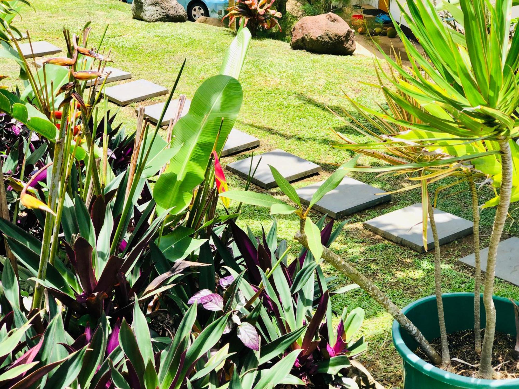 Muri Vista Villas Rarotonga Eksteriør bilde